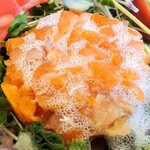 メリ・メロ - 桜風味の信州サーモンのスモーク，こごみ，タラの芽