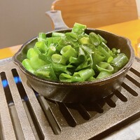 ANIKU produced by 新井屋 - ネギたん塩のネギ