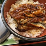 魚房 - ひつまぶしごはん大盛り