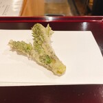 天ぷら たけうち - タラノメ