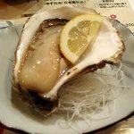 海光房 - 岩牡蛎