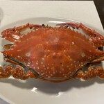 Maruha Shokudou Ryokan - 渡り蟹