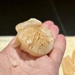 鮨 西崎 - 帆立の藁焼き。
      手渡しシリーズは、どれもふんわりと柔らかい握り。
      特に、香りまで楽しめるネタが多いです。
      当然、この帆立もご多分に洩れず♪