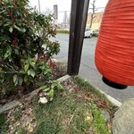 吉川ホルモン - 