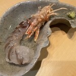 Tempura Shuwacchi - 