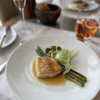 Benoit Alain Ducasse - 