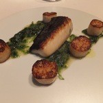 アルキオーネ - 