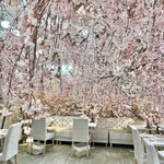 HAUTE COUTURE CAFE OMOTESANDO - 