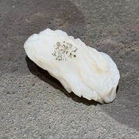 鮨 無垢/鮨 白銀 - 