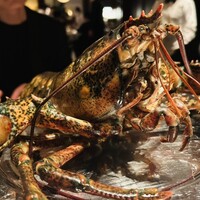 ウルフギャング・ステーキハウス 六本木 - 