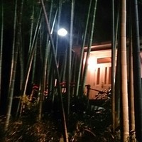 むくの実亭 - 