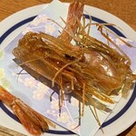 Robata Toramaru - 