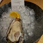 Oyster Plates - 