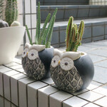 OwL - 素敵な料理はもちろん､雰囲気もわんこも魅力です(≧▽≦)ﾉ