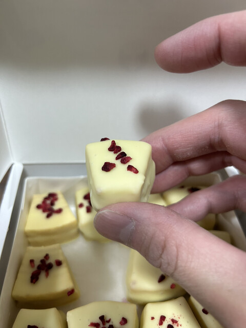 HOLLANDISCHE KAKAO-STUBE Iwataya Ten - Nishitetsu Fukuoka