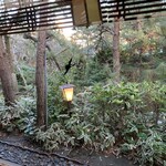 行形亭 - お部屋から見える中庭