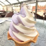 河口湖ハーブ館 喫茶コーナー - ラベンダー＆バニラソフトクリーム 300円