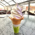 河口湖ハーブ館 喫茶コーナー - ラベンダー＆バニラソフトクリーム 300円