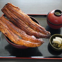 極み 特上うな丼（２尾）