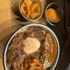 もうやんカレー しんばし