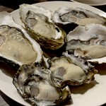 OYSTER GARDEN - 