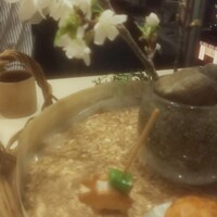 ウェロニカ ペルシカ - お庭の桜を室内で開花