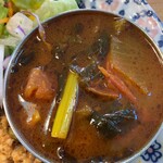 東新宿 サンラサー - 「キーママタール」と「高菜といり豆のネパール風スープカレー」の、あいがけ(1400円)