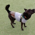 道の駅なんぶ - 