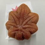 Fuji Iya Eki Omiyagekan Ten