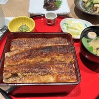 炭焼 うな富士 有楽町店 - 
