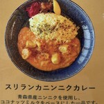 Ruuuuu curry GARAKU - 2024/03の限定メニュー