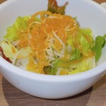 Ginno shari - 銀シャリランチ(選べる3種肉)¥1,480   サラダ