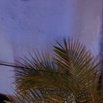 カフェ ダイニング マカナ - 