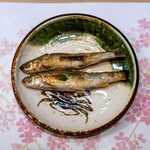 うを徳 - 2024.3 琵琶湖産子持ちホンモロコ炭火焼き木の芽酢掛け