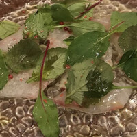 クインチチェントラーレ - 