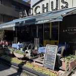 BACCHUS - 