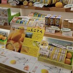 島ごころ セトダ - レモンを使った色んな商品がある
