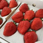 渡邉いちご園 - 