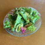 イルピアチェーレ - 前菜サラダ