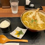 Tenkawa - 海老天カレーうどんと小ご飯の着丼