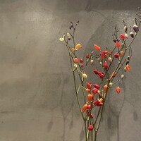 京 静華 - 