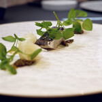 プレゼンテ スギ - 