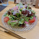 四ツ橋・新町 牡蠣と肉たらしビストロAKIRA - 