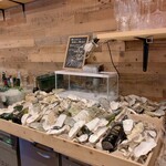 四ツ橋・新町 牡蠣と肉たらしビストロAKIRA - 