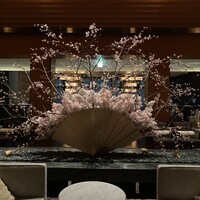 タパス モラキュラーバー - 