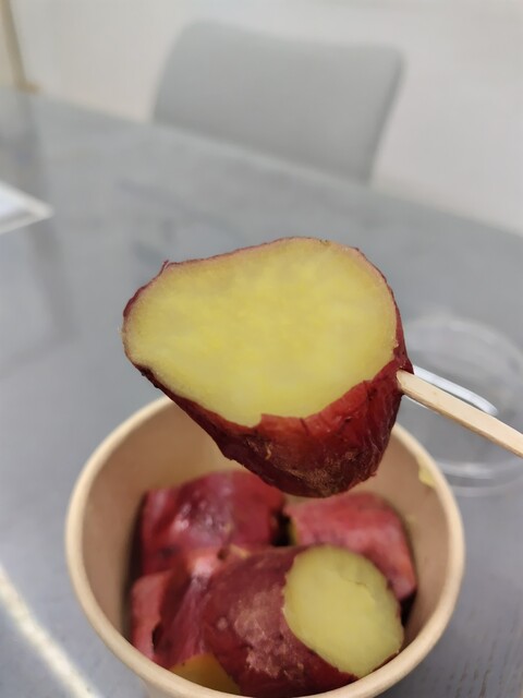 おいも様 imgrc0088111707.jpg