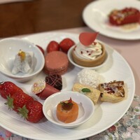 スプレンディード -  スプレンディード -