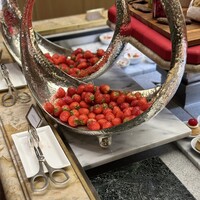 スプレンディード -  スプレンディード -