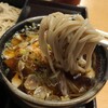 Hanasai - 花彩 菖蒲店　肉つけ汁そばの麺