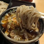 Hanasai - 花彩 菖蒲店　肉つけ汁そばの麺